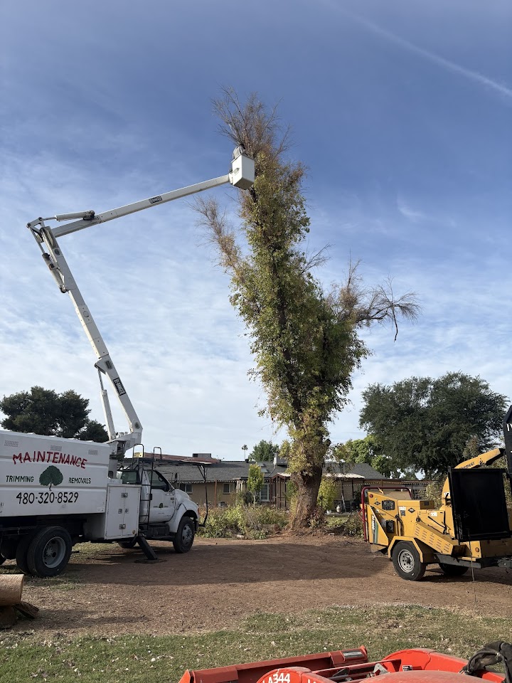 Ivan Del Toro Landscaping, LLC project