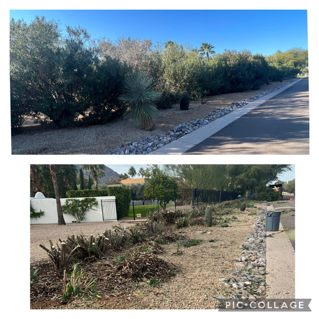 Ivan Del Toro Landscaping, LLC project
